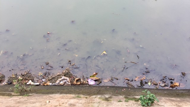 Sampah di tepi danau Hutan Kota Srengseng. (Foto: Shika Arimasen Michi/kumparan)