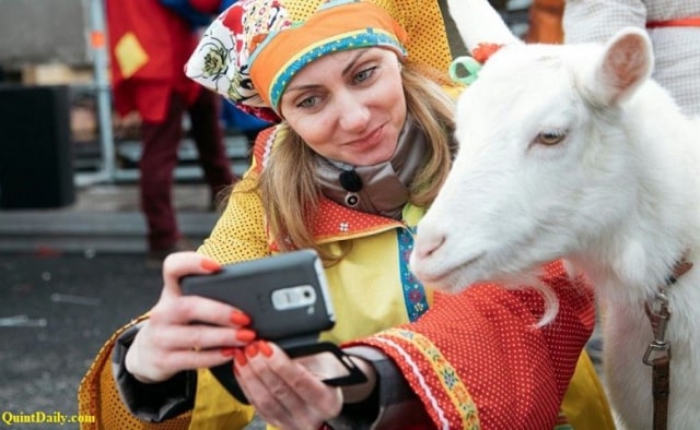 KAMBING INI RAMALKAN JUARA PIALA DUNIA 2018, HAYO NEGARA MANA JUARANYA? (1)