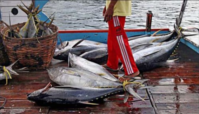 Tingkat Konsumsi Ikan Warga Jatim 34 Kg/Kapita/Tahun