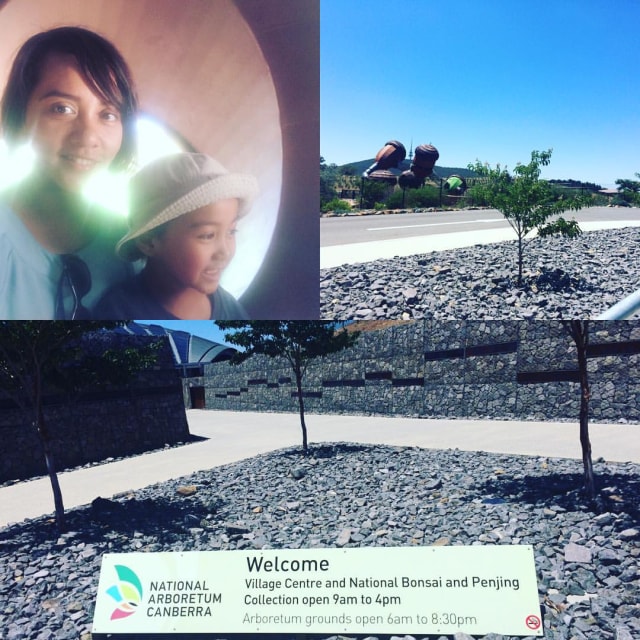 National Arboretum Canberra:  Kebakaran Besar Berujung Keindahan (5)