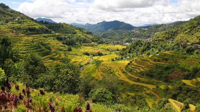 Namanya melambung berkat film Avengers (Foto: Flickr/Nicholas Barrowclough)