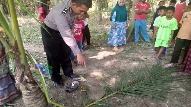 Jatuh Dari Pohon Asam, Warga Bojonegoro Meninggal Dunia (1)