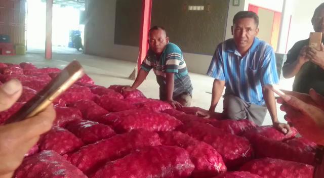 Video: Bawang India Tersimpan di Gudang Brebes Mengancam Petani Lokal
