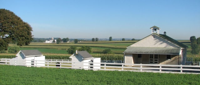 Kesederhanaan Komunitas Amish di Tengah Modernnya Amerika (6)