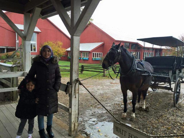 Kesederhanaan Komunitas Amish di Tengah Modernnya Amerika (1)