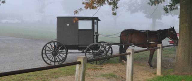 Kesederhanaan Komunitas Amish di Tengah Modernnya Amerika (5)