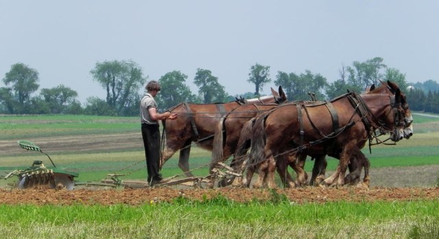 Kesederhanaan Komunitas Amish di Tengah Modernnya Amerika (4)