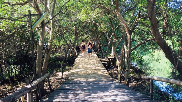 Turis di Taman Wisata Alam Angke Kapuk (Foto: Shika Arimasen Michi/kumparan)