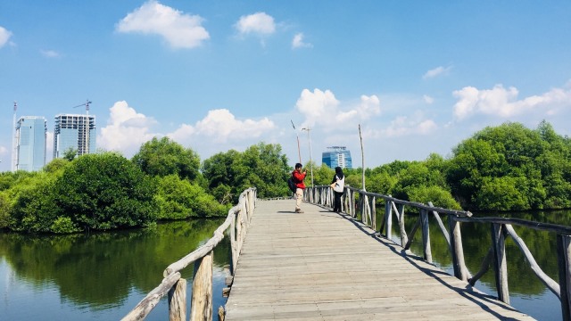 Jembatan Pengamat Burung (Foto: Shika Arimasen Michi/kumparan)