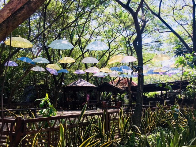 Kantin Taman Wisata Alam Angke Kapuk (Foto: Shika Arimasen Michi/kumparan)