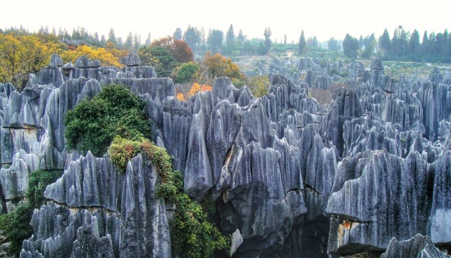 Stone Forest Park (Foto: Dok: Flickr/linwujin)