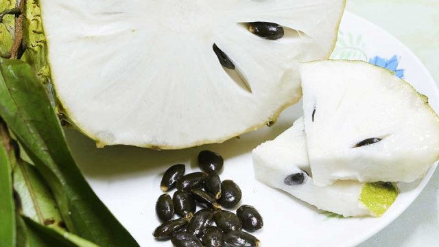 Manfaat Buah Sirsak Untuk Ibu Hamil