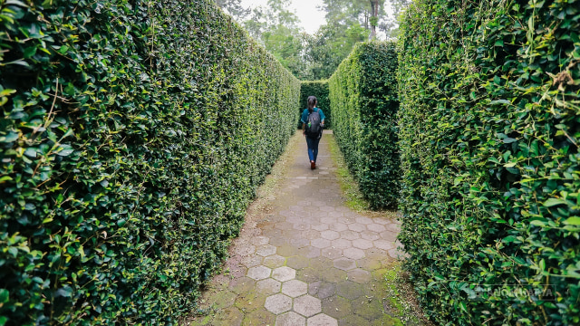 Taman Labirin Coban Rondo, Malang (Foto: Flickr/Anom Harya)