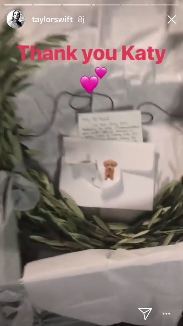 Hadiah dari Katy Perry untuk Taylor Swift. (Foto: Instagam Story @taylorswift)
