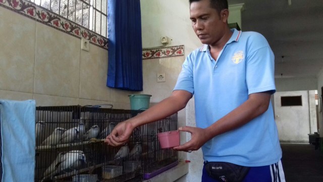 Jaga Kelestarian, Ketut Jiwa Kembang Biakkan Jalak Bali