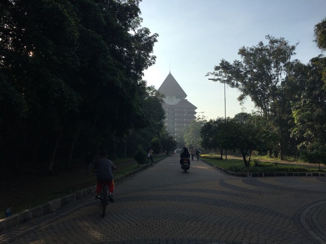 Bersepeda di lingkungan Universitas Indonesia (Foto: Aji Surya)