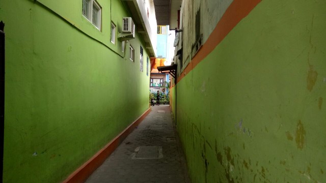 SD dua anak Dita Sekolah (Foto: Ardhana Pragota/kumparan)