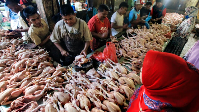 Permintaan ayam potong di Aceh (Foto: ANTARA FOTO/Rahmad)