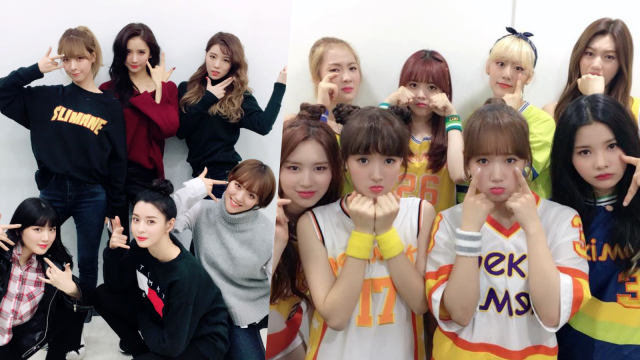 Hello Venus dan Weki Meki (Foto: Facebook  @chHelloVenus dan @WekiMeki)