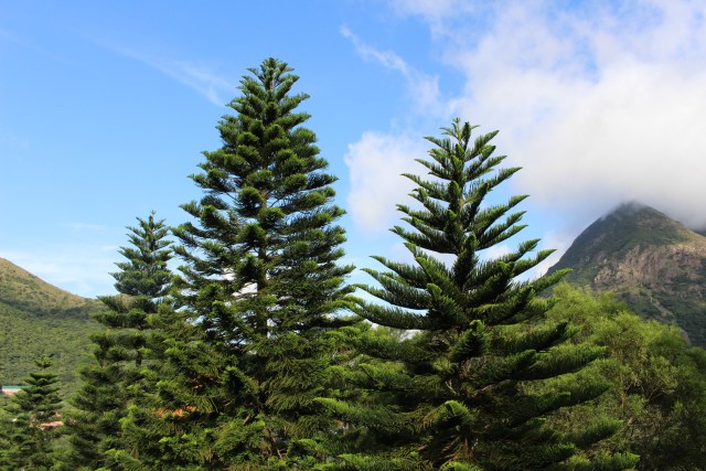 Indahnya Ciptaan Tuhan (Ngong Ping 360 Hong Kong) (2)