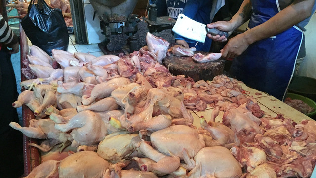 Pedagang daging ayam di Bandung. Foto: Iqbal Tawakal Lazuardi Siregar/kumparan