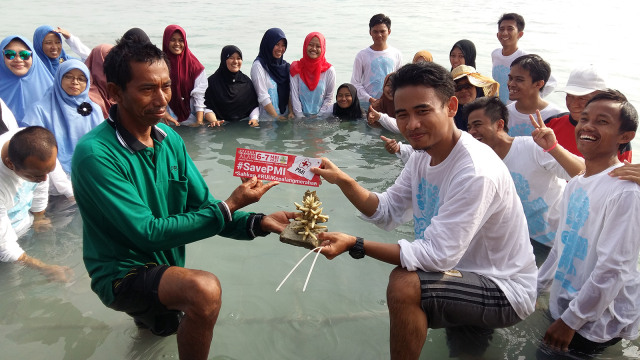 Penanaman terumbu karang (Foto: Dok. Konservasi Terumbu Karang Tidung)