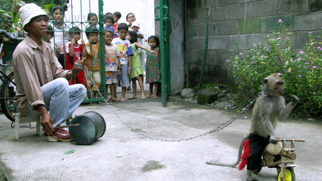 Ilustrasi topeng monyet. (Foto: Wikimedia Commons)