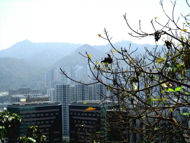 Biara tanpa biksu (9)