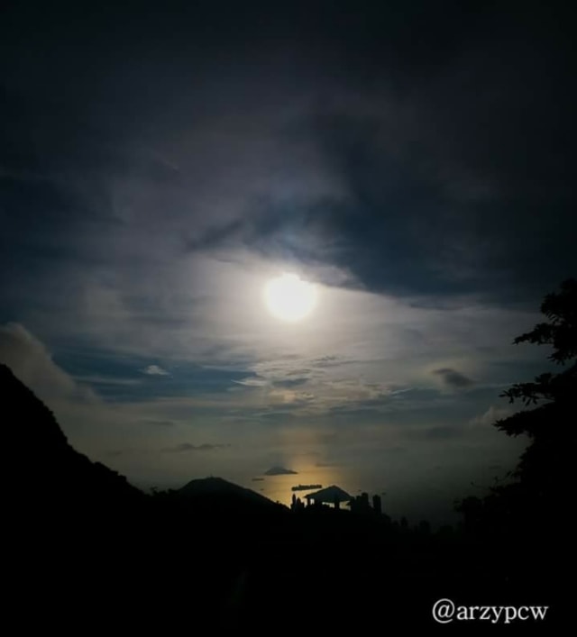 all about nature (1)