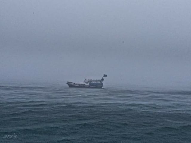 all about nature (2)