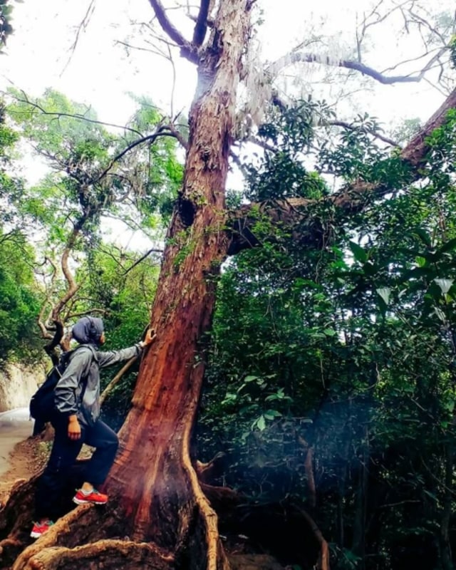 all about nature (3)