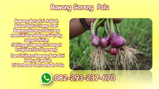 CALL/WA: 082-293-237-670, Bawang Goreng Kemasan Palu (6)