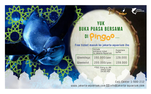 DUG.. DUG.. DUG BUKA PUASA BARENG HIU DAN PINGUIN
