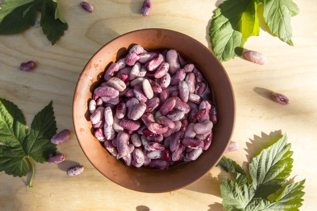 Ilustrasi kacang merah (Foto: Dok. Thinkstock)