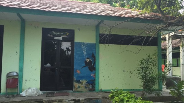 Konservasi Terumbu Karang Tidung Kecil (Foto: Helinsa Rasputri/kumparan)