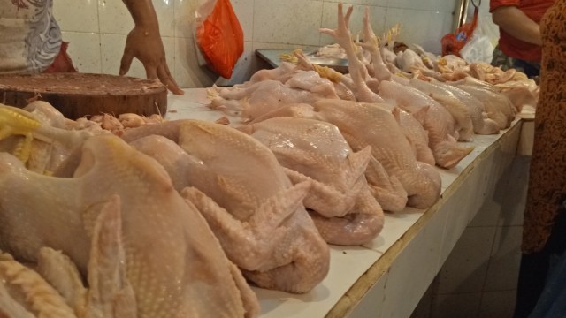 Pedagang daging ayam di Pasar Pulo Menteng. Foto: Ela Nurlaela/kumparan