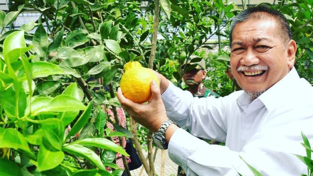 Deddy Mizwar (Foto: Instagram/@deddy_mizwar)