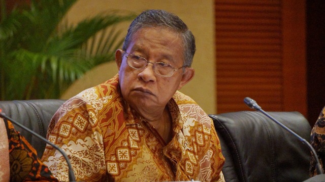 Darmin Nasution, Menteri Perekonomian (Foto: Garin Gustavian/kumparan)