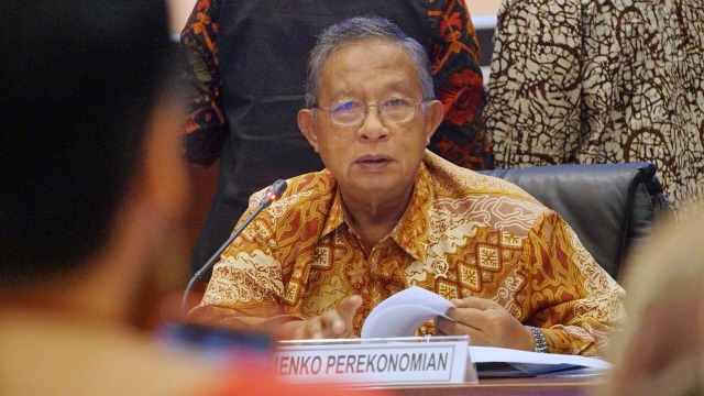 Darmin Nasution, Menteri Perekonomian (Foto: Garin Gustavian/kumparan)