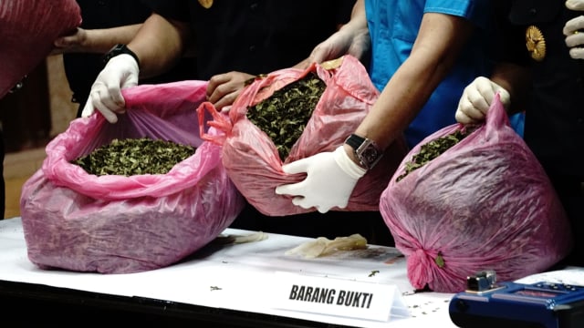 Penangkapan jaringan narkoba oleh BNN & Bea Cukai. (Foto: Helmi Afandi Abdullah/kumparan)