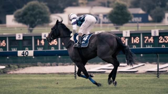 Pacuan kuda di Ellerslie (Foto: Flickr/Richard Ashurst)