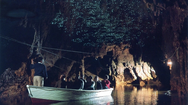 Waitomo Glow Worms (Foto: Dok. rona.h)