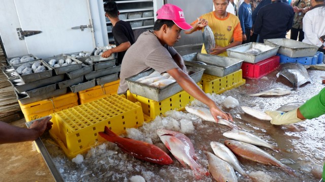 Cold storage ikan di Natuna teraliri listrik. Foto: Resya Firmansyah/kumparan