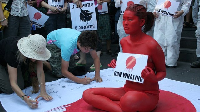 Kampanye Anti Perburuan Paus. (Foto: Takver)