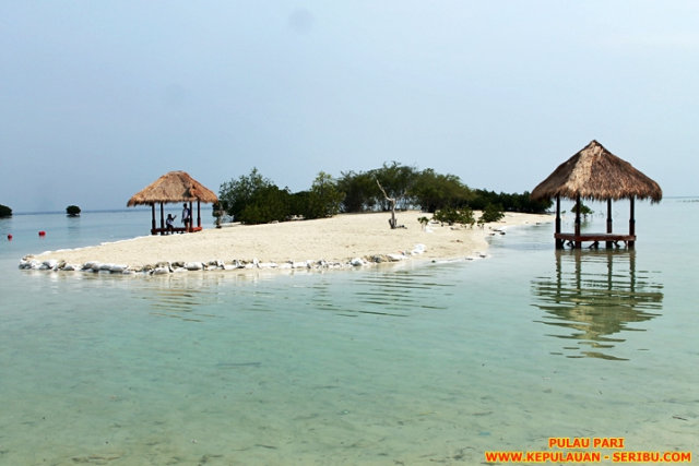 Pulau Pari Keindahan Pantai Pasir Putih Di Pantai Perawan