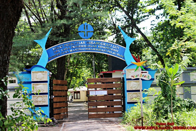 Pulau Pari Keindahan Pantai Pasir Putih Di Pantai Perawan (1)