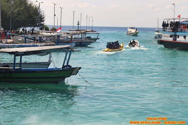 Pulau Pari Keindahan Pantai Pasir Putih Di Pantai Perawan (3)