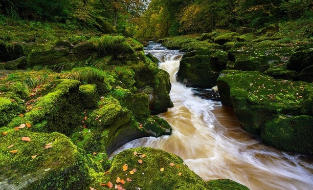 Bolton Strid, Sungai Kecil yang Indah dan Mematikan