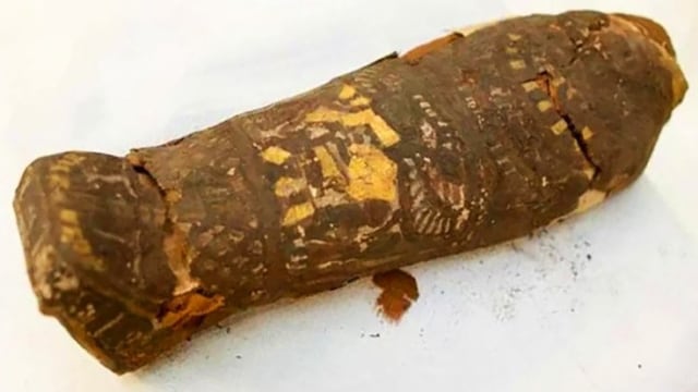 Mumi kecil dari Mesir berusia 2.000 tahun. (Foto: Maidstone Museum)