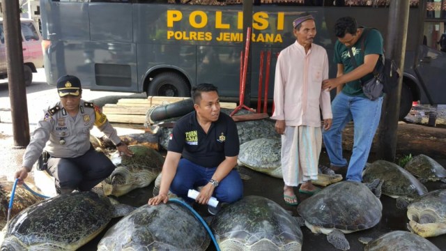 Penyelundupan Penyu dari Madura Rencananya Dijual ke Denpasar  (1)